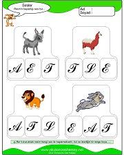 Resmin Başladığı Sesi Bul